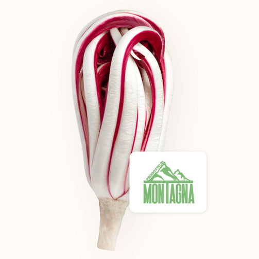 Cespo di Radicchio Rosso Tardivo di Montagna.